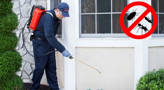 Akpınar Dezenfeksiyon böcek ilaçlama ve haşere kontrolü — ilaclama-tr.com